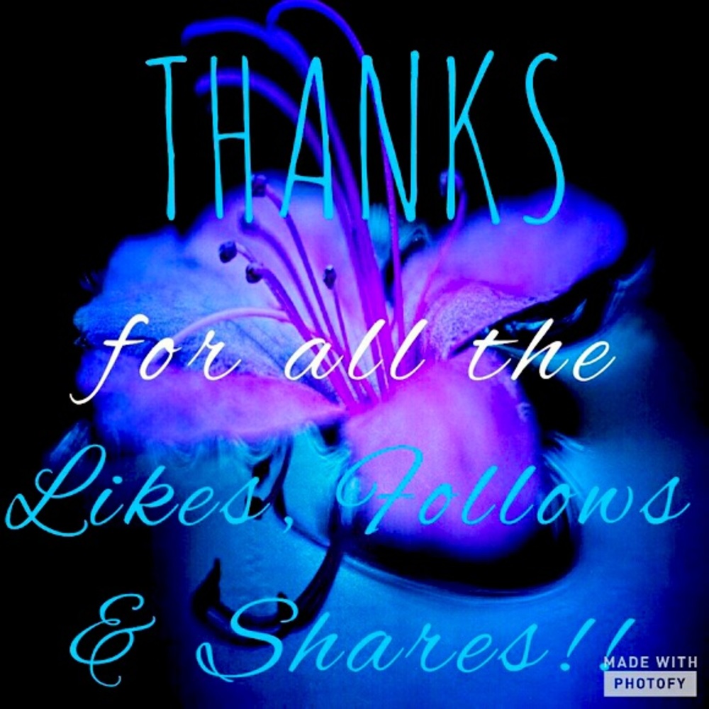 Thanks everyone!